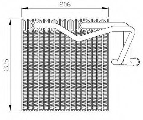 NRF 36095