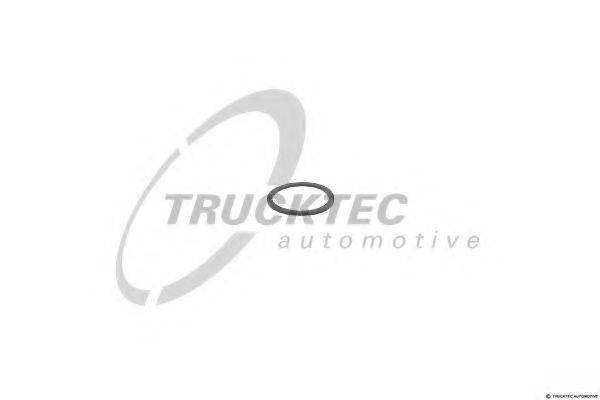 DT 4.61031 Ущільнювальне кільце
