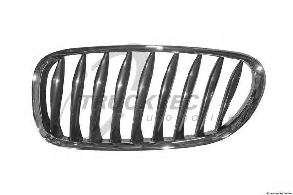 BMW 51 13 7 051 957 решітка радіатора