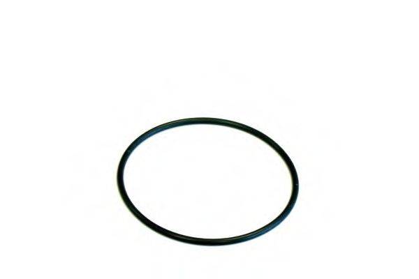 SCT GERMANY SH 4795 P