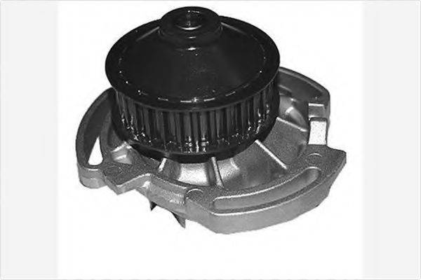 HUTCHINSON WP146