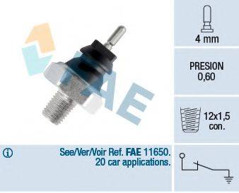 FAE 12160