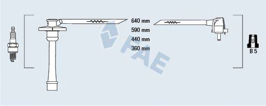 FAE 83581