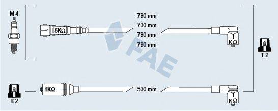 FAE 83979