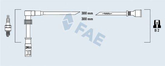 FAE 85682