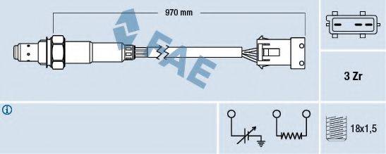 FAE 77306