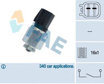FAE 40595