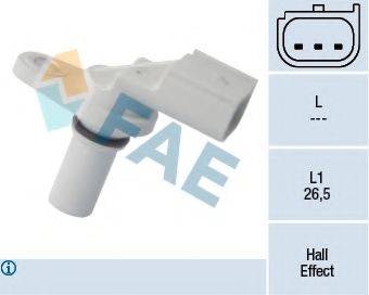 FAE 79246