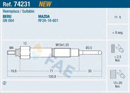 FAE 74231