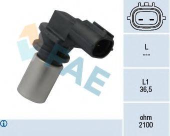 FAE 79316