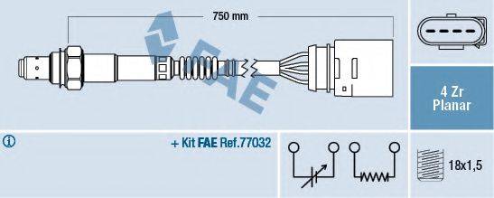 FAE 77906