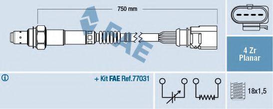 FAE 77910