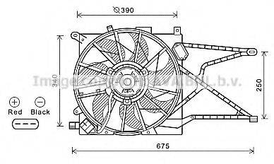 AVA QUALITY COOLING OL7596