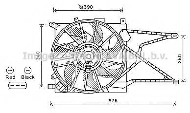 AVA QUALITY COOLING OL7597