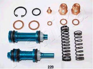 ASHIKA 114-229
