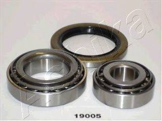 ASHIKA 44-19005