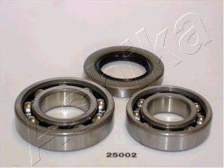 ASHIKA 44-25002
