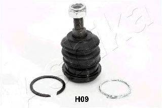 ASHIKA 73-0H-H09