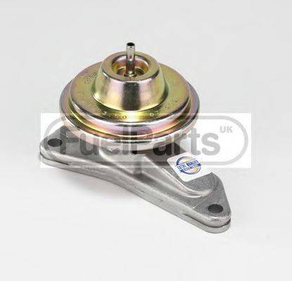 STANDARD EGR033