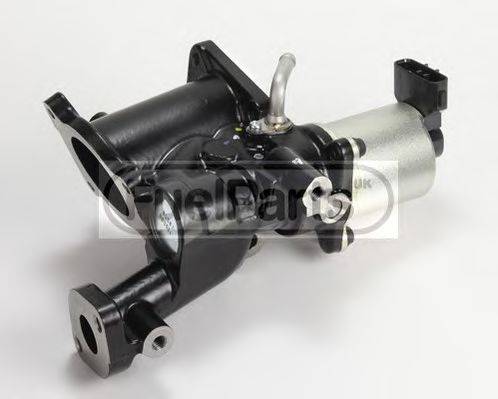 STANDARD EGR259