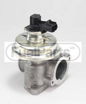 STANDARD EGR245