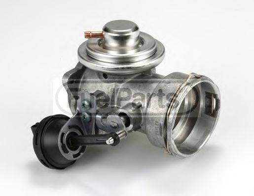 STANDARD EGR225