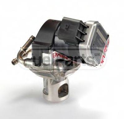 STANDARD EGR106