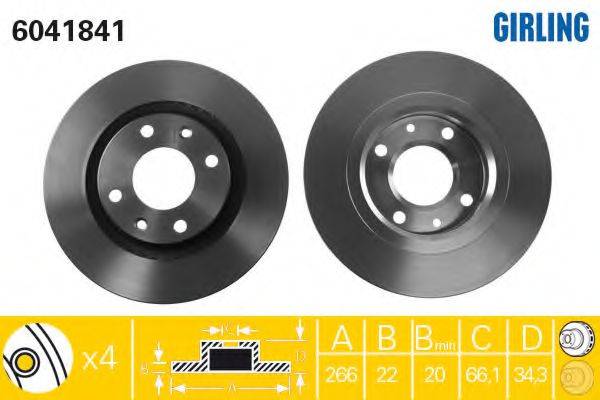 GIRLING 6411943