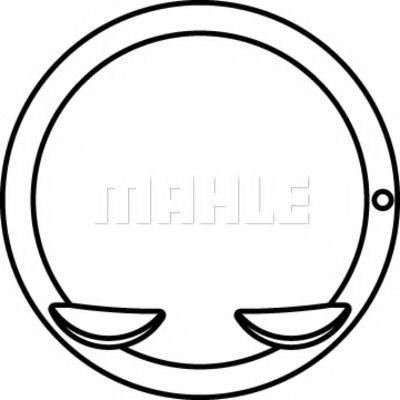 MAHLE ORIGINAL 6810901 Поршень