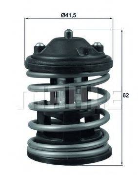MAHLE ORIGINAL TX 163 87D1