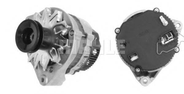 MAHLE ORIGINAL MG 661