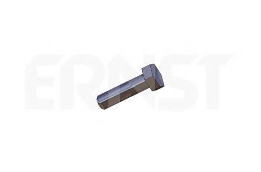 ERNST 495530