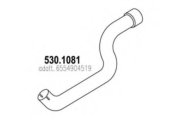 ASSO 530.1081