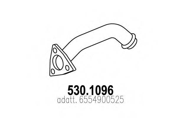 ASSO 530.1096