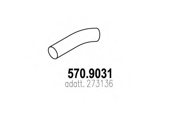ASSO 570.9031