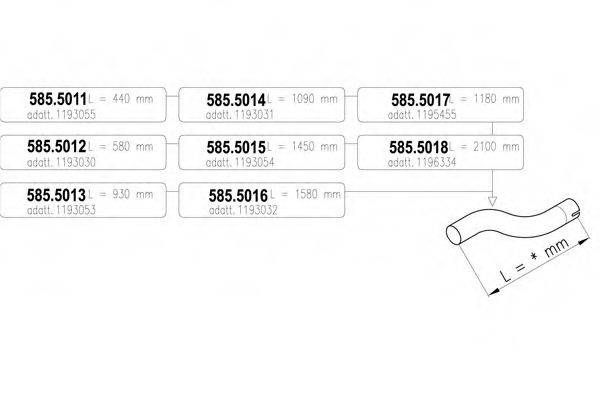 ASSO 585.5018