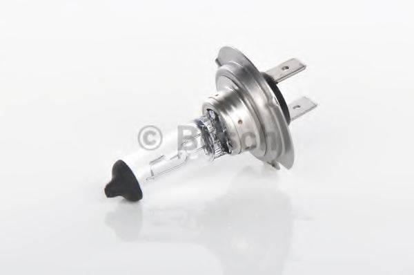 BOSCH 1 987 302 079