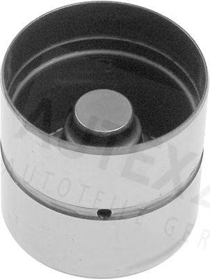 AUTEX 955087
