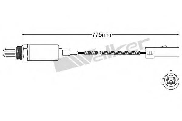 WALKER PRODUCTS 250-21007