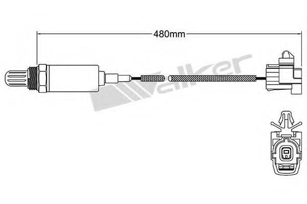 WALKER PRODUCTS 250-21010