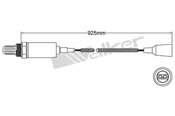 WALKER PRODUCTS 250-21015