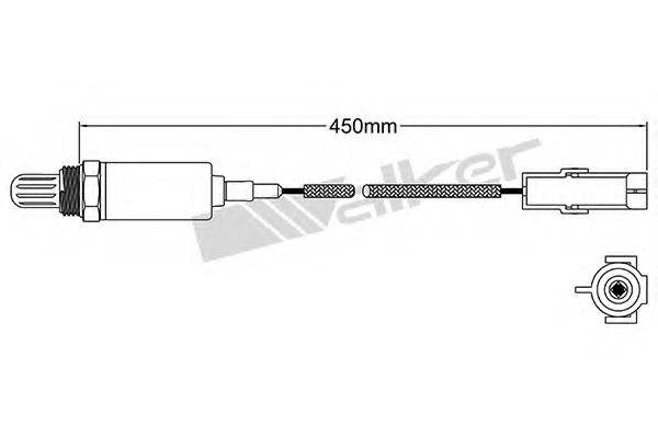 WALKER PRODUCTS 250-21070