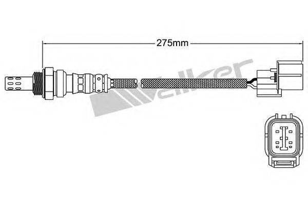 WALKER PRODUCTS 250-24602