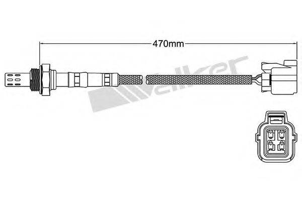 WALKER PRODUCTS 250-24496