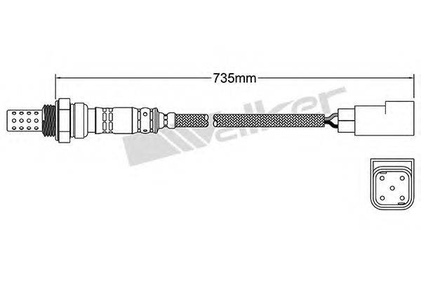 WALKER PRODUCTS 250-24552