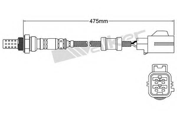 WALKER PRODUCTS 250-24455