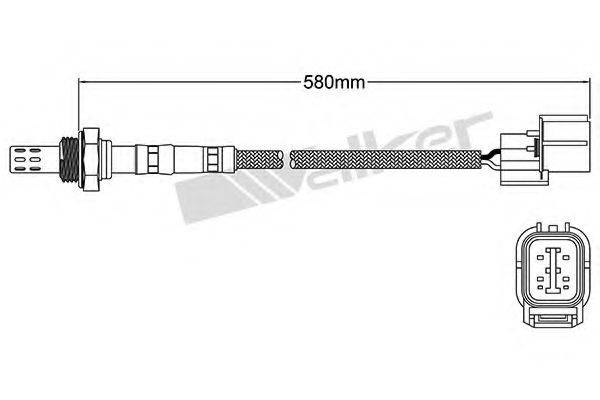 WALKER PRODUCTS 250-24498