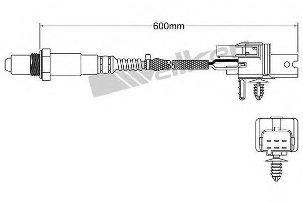WALKER PRODUCTS 250-25005