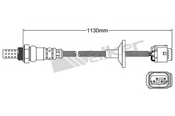 WALKER PRODUCTS 250-24565