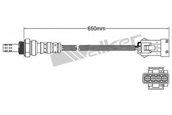 WALKER PRODUCTS 250-24546